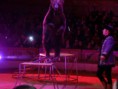 /album/cirkus-orginal-berousek/a062-cirkus-berousek-jpg/